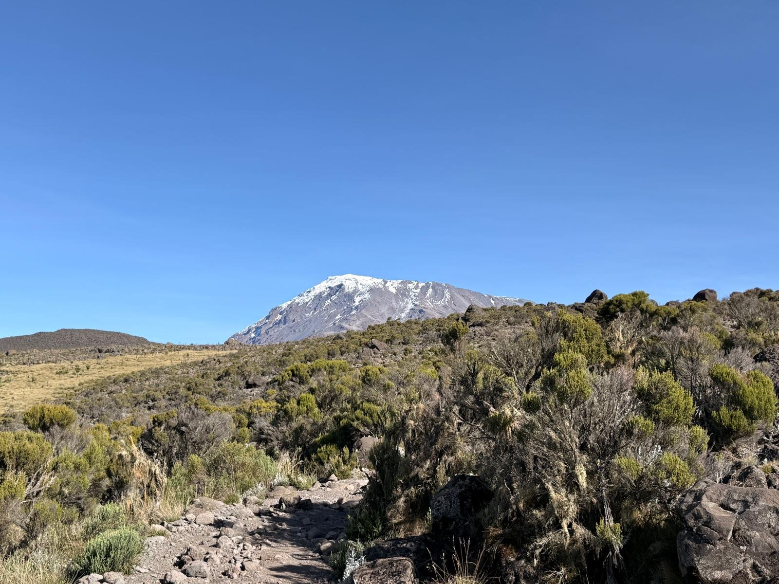 Forest zone trail